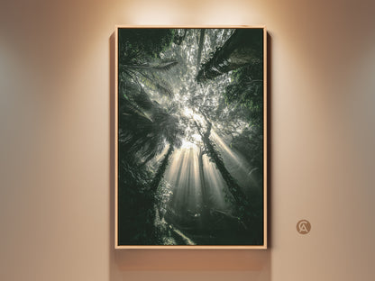 Photorealistic emerald forest canvas print. Sunbeams stream through deep green tropical foliage. This boho nature home decor brings an atmospheric jungle artwork to any space. Perfect as a nature lover housewarming gift.