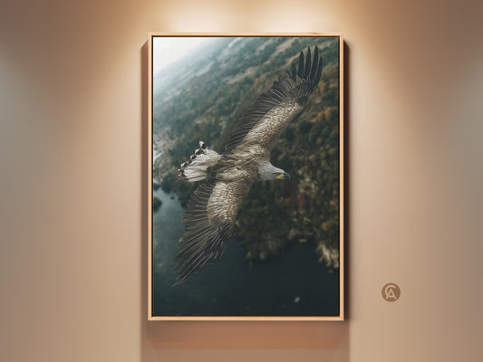 Wildlife canvas art featuring an eagle in flight over a lush forest. This rustic nature print showcases earthy tones. This avian artwork is a perfect birdwatcher birthday gift. The deep teal and forest green palette adds a natural feel to any room.