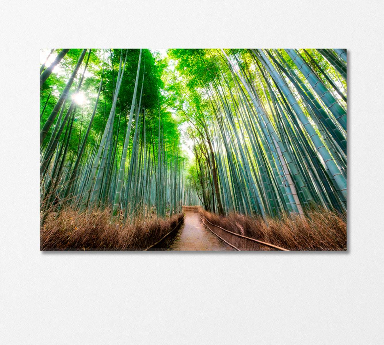 Walkway in Bamboo Forest Kyoto Japan Canvas Print-Canvas Print-CetArt-1 Panel-24x16 inches-CetArt