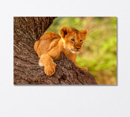 Cute Wild Lion Cub Resting on a Tree Canvas Print-Canvas Print-CetArt-1 Panel-24x16 inches-CetArt