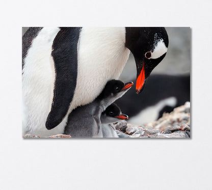 Caring Penguin with Two Chicks Canvas Print-Canvas Print-CetArt-1 Panel-24x16 inches-CetArt