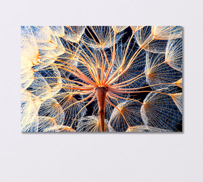 Dandelion Flower Close Up Canvas Print-Canvas Print-CetArt-1 Panel-24x16 inches-CetArt