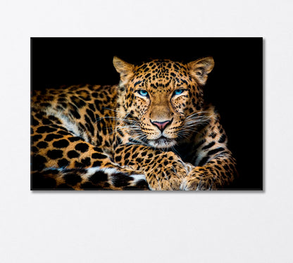 Northern Chinese Leopard with Extraordinary Blue Eyes Canvas Print-Canvas Print-CetArt-1 Panel-24x16 inches-CetArt