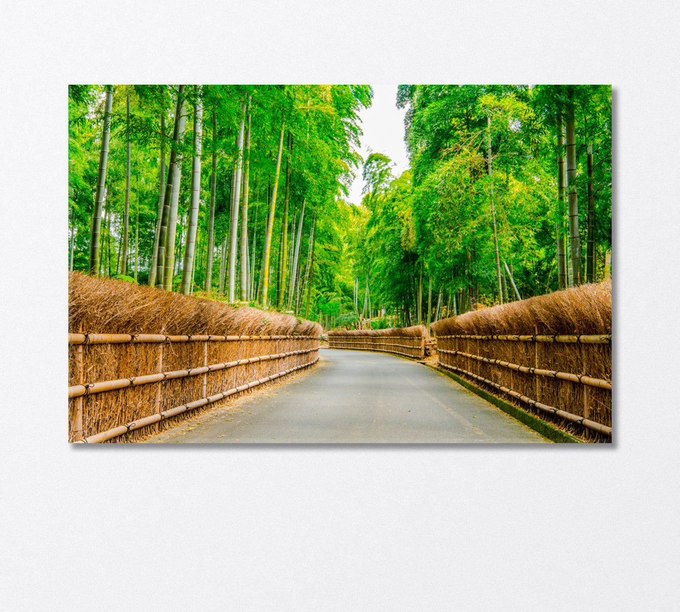 Bamboo Forest Canvas Print-Canvas Print-CetArt-1 Panel-24x16 inches-CetArt