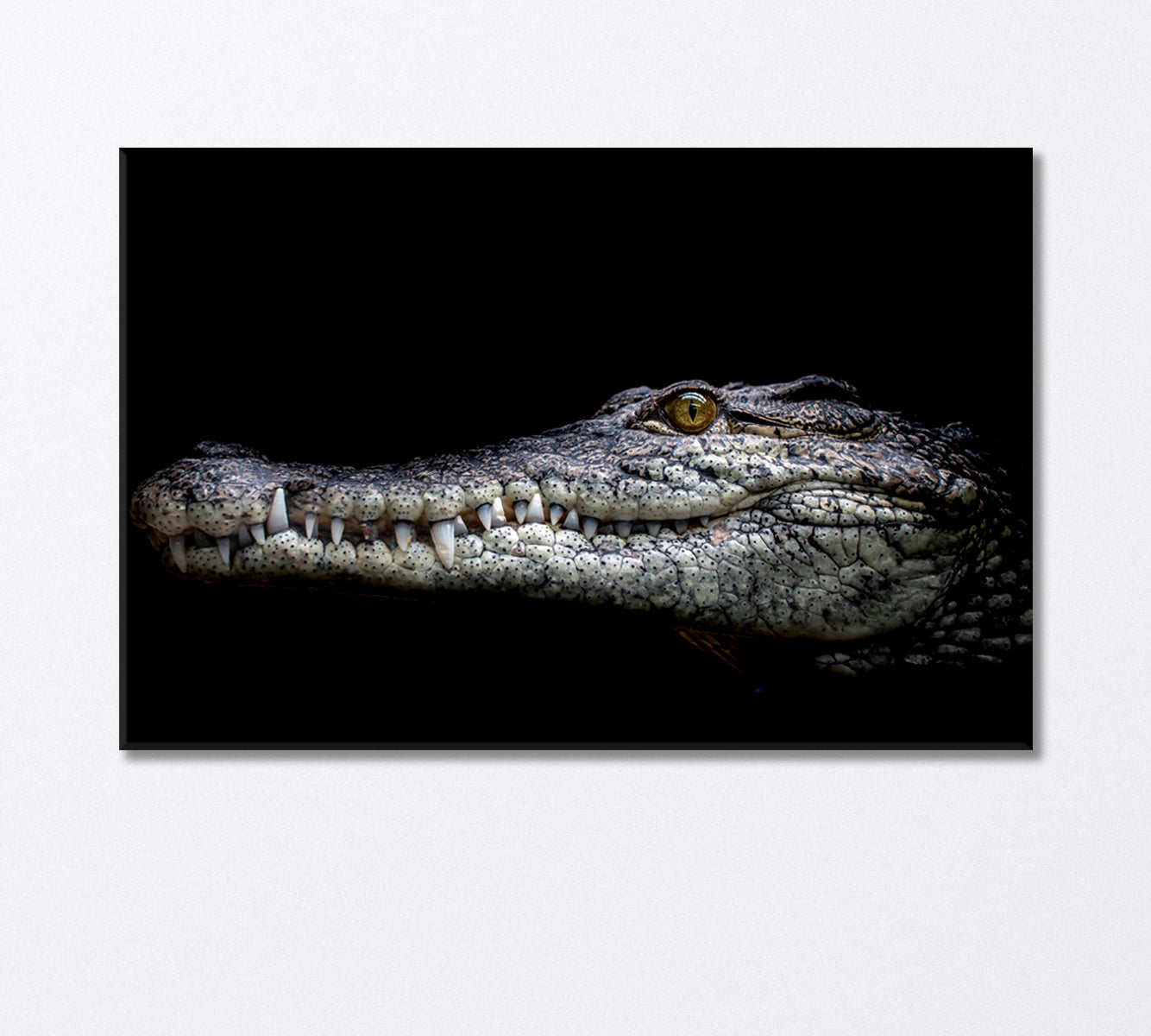 Muzzle Formidable Nile Crocodile Close Canvas Print-Canvas Print-CetArt-1 Panel-24x16 inches-CetArt