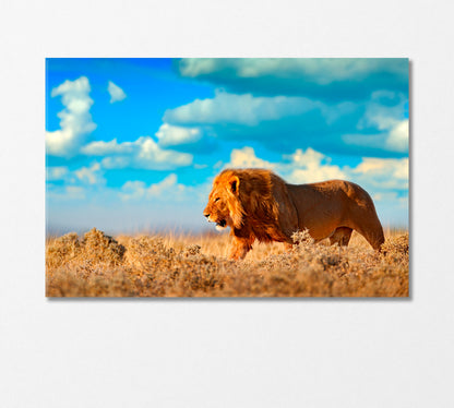 Wild African Lion Canvas Print-Canvas Print-CetArt-1 Panel-24x16 inches-CetArt