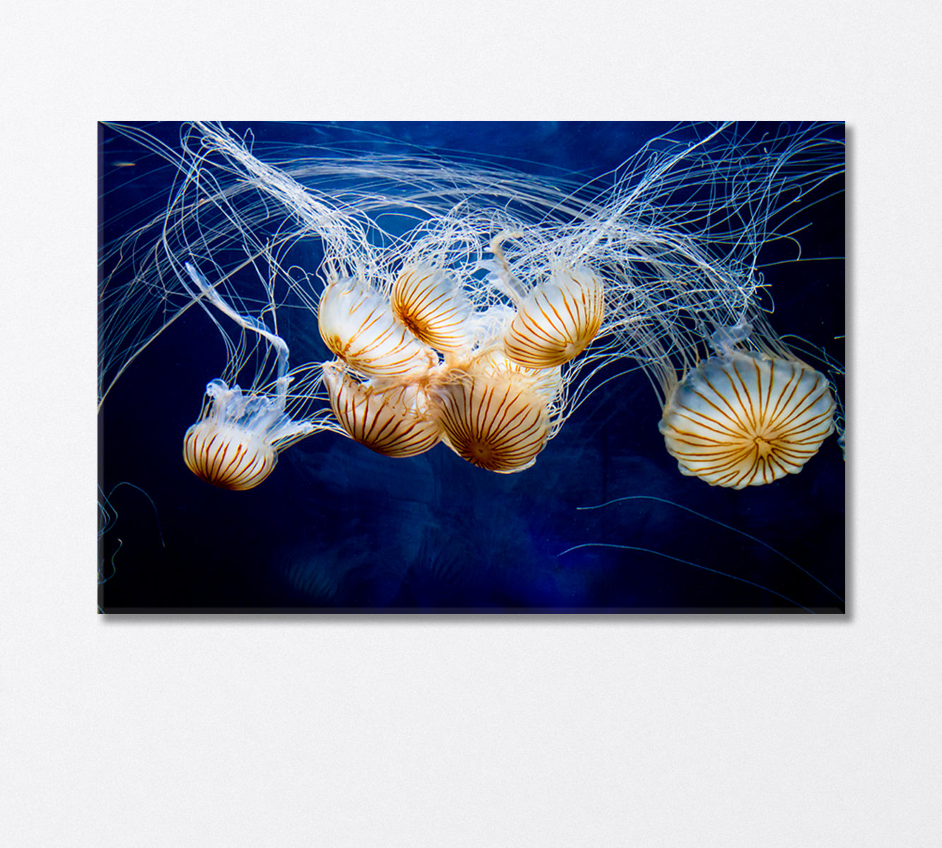 The Incredible Beauty of Jellyfish Canvas Print-Canvas Print-CetArt-1 Panel-24x16 inches-CetArt