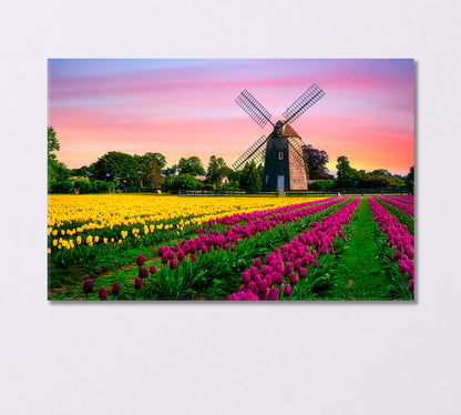 Windmill in Beautiful Color Tulips Field Canvas Print-Canvas Print-CetArt-1 Panel-24x16 inches-CetArt