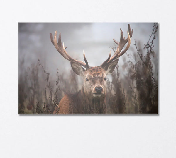 Deer in morning fog — soft neutral wildlife canvas