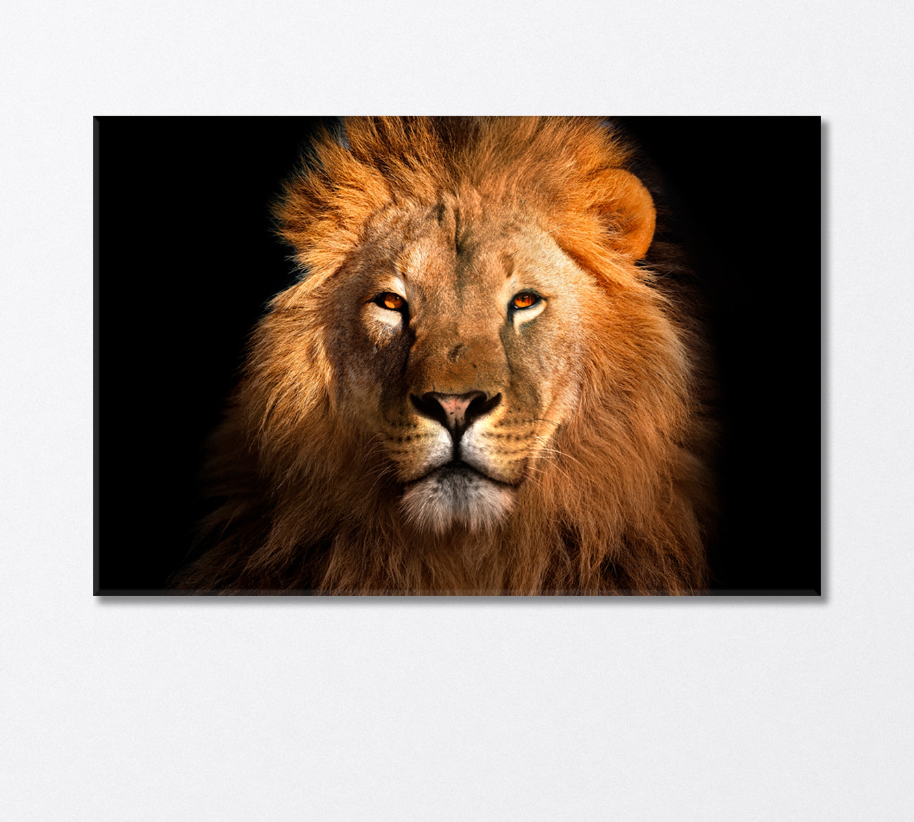 Lion King Canvas Print-Canvas Print-CetArt-1 Panel-24x16 inches-CetArt