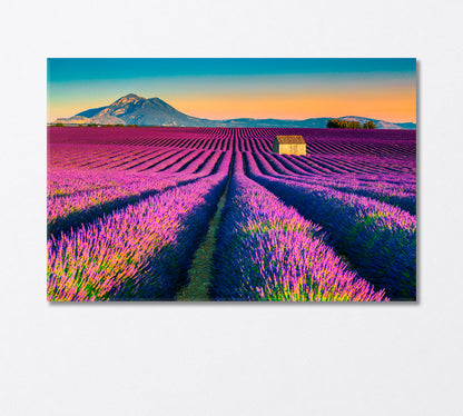Majestic Colorful Lavender Fields Provence France Canvas Print-Canvas Print-CetArt-1 Panel-24x16 inches-CetArt