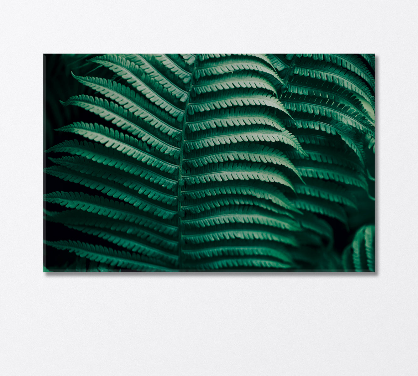 Wild Fern Leaves Canvas Print-Canvas Print-CetArt-1 Panel-24x16 inches-CetArt