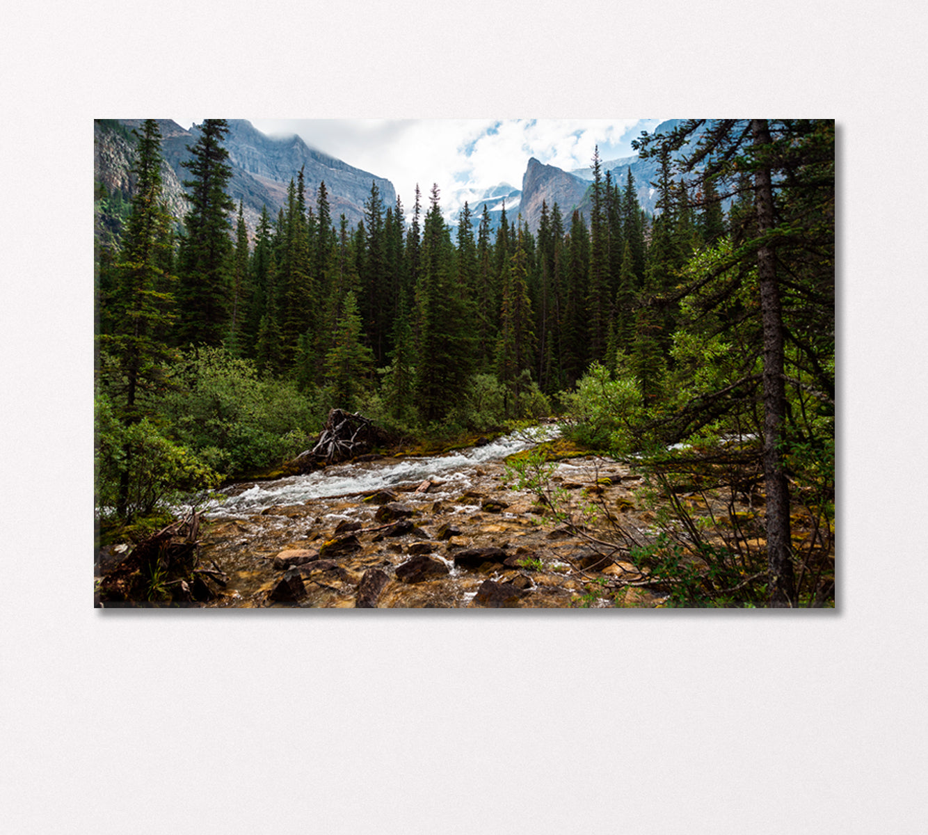 Mountain River Flowing in the Coniferous Forest Canada Canvas Print-Canvas Print-CetArt-1 Panel-24x16 inches-CetArt