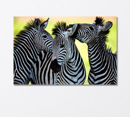Wild Zebras of Africa Canvas Print-Canvas Print-CetArt-1 Panel-24x16 inches-CetArt