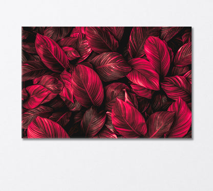 Red Leaves of Spathiphyllum Canvas Print-Canvas Print-CetArt-1 Panel-24x16 inches-CetArt
