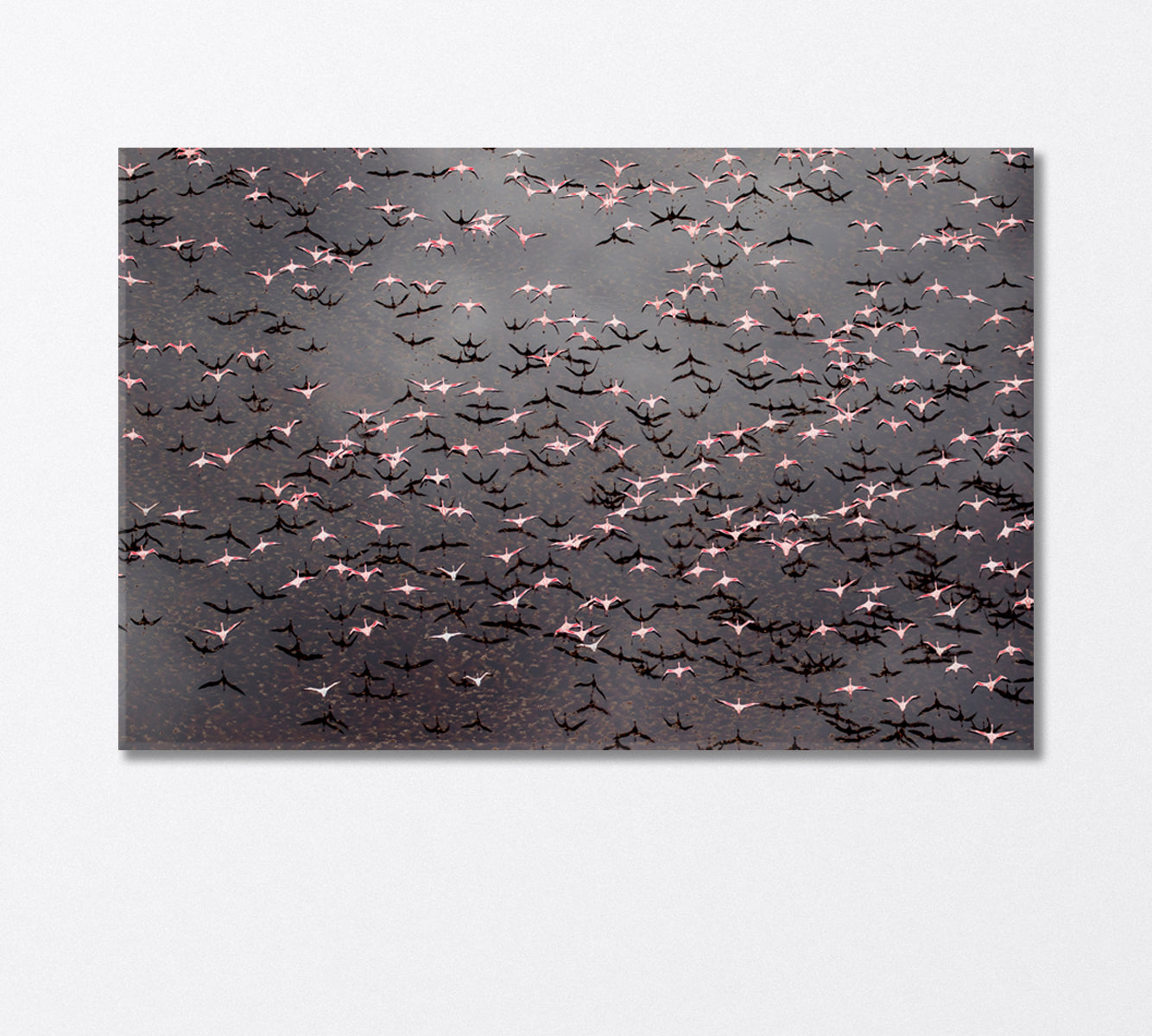 Flock of Flamingos Flying over Lake Natron Africa Canvas Print-Canvas Print-CetArt-1 Panel-24x16 inches-CetArt