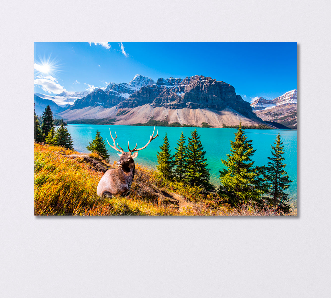 Deer with Forked Antlers near Glacial Lake Bow Canada Canvas Print-Canvas Print-CetArt-1 Panel-24x16 inches-CetArt