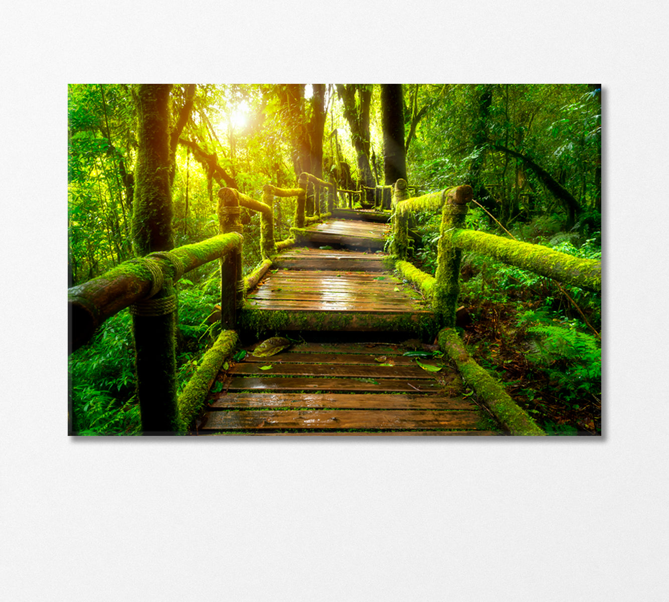 Old Wooden Bridge in Doi Inthanon National Park Thailand Canvas Print-Canvas Print-CetArt-1 Panel-24x16 inches-CetArt