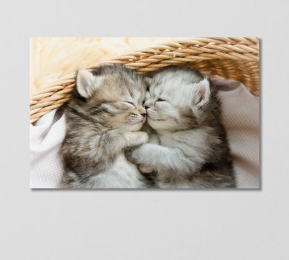 Cute Kittens Sleeping an Embrace Canvas Print-Canvas Print-CetArt-1 Panel-24x16 inches-CetArt