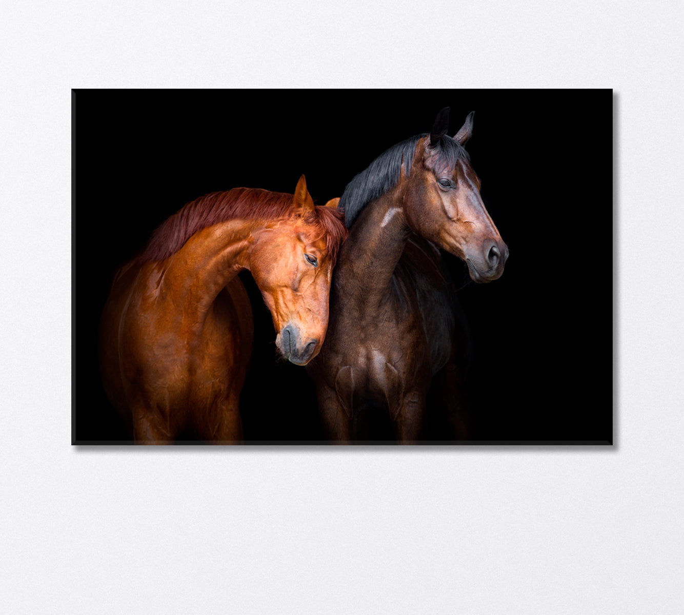 Two Horse Close Up Canvas Print-Canvas Print-CetArt-1 Panel-24x16 inches-CetArt