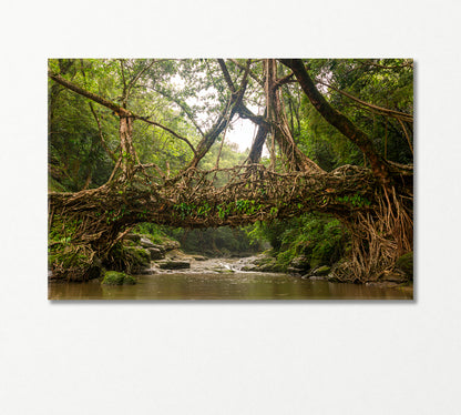 Living Root Bridge Cherrapunji India Canvas Print-Canvas Print-CetArt-1 Panel-24x16 inches-CetArt