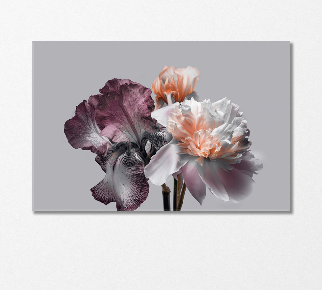 Bouquet of Peonies and Irises Canvas Print-CetArt-1 Panel-24x16 inches-CetArt