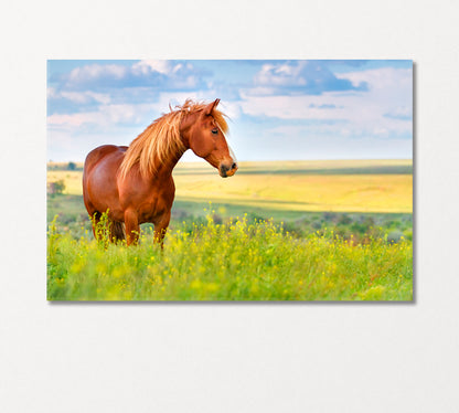 Red Horse in Flower Field Canvas Print-Canvas Print-CetArt-1 Panel-24x16 inches-CetArt