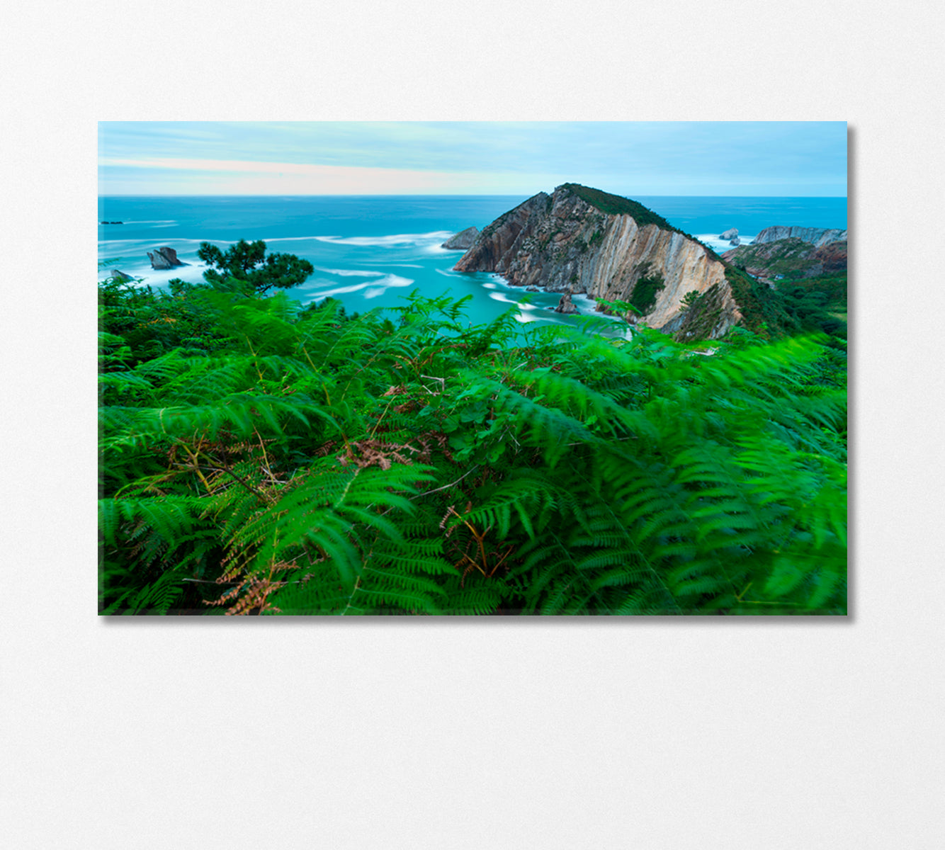 Wild Fern on El Silencio Beach Spain Canvas Print-Canvas Print-CetArt-1 Panel-24x16 inches-CetArt