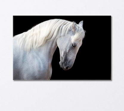 White Horse Portrait Canvas Print-Canvas Print-CetArt-1 Panel-24x16 inches-CetArt
