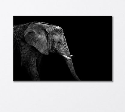 African Elephant Face in Black White Canvas Print-Canvas Print-CetArt-1 Panel-24x16 inches-CetArt