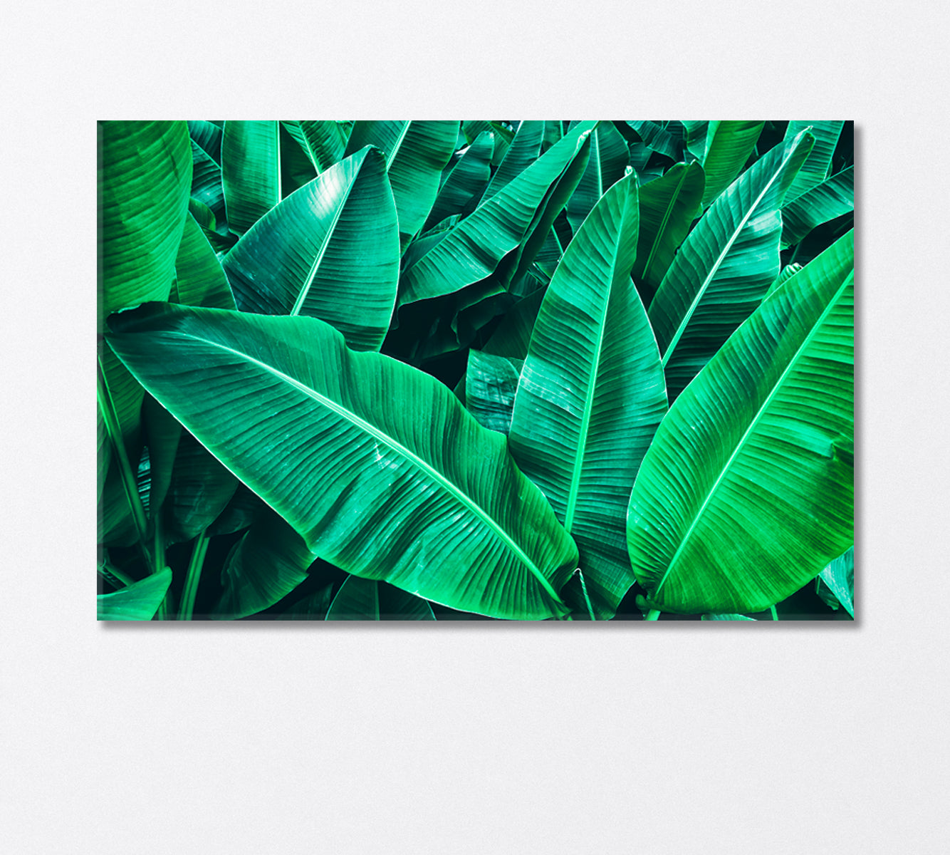 Tropical Banana Leaves Canvas Print-Canvas Print-CetArt-1 Panel-24x16 inches-CetArt