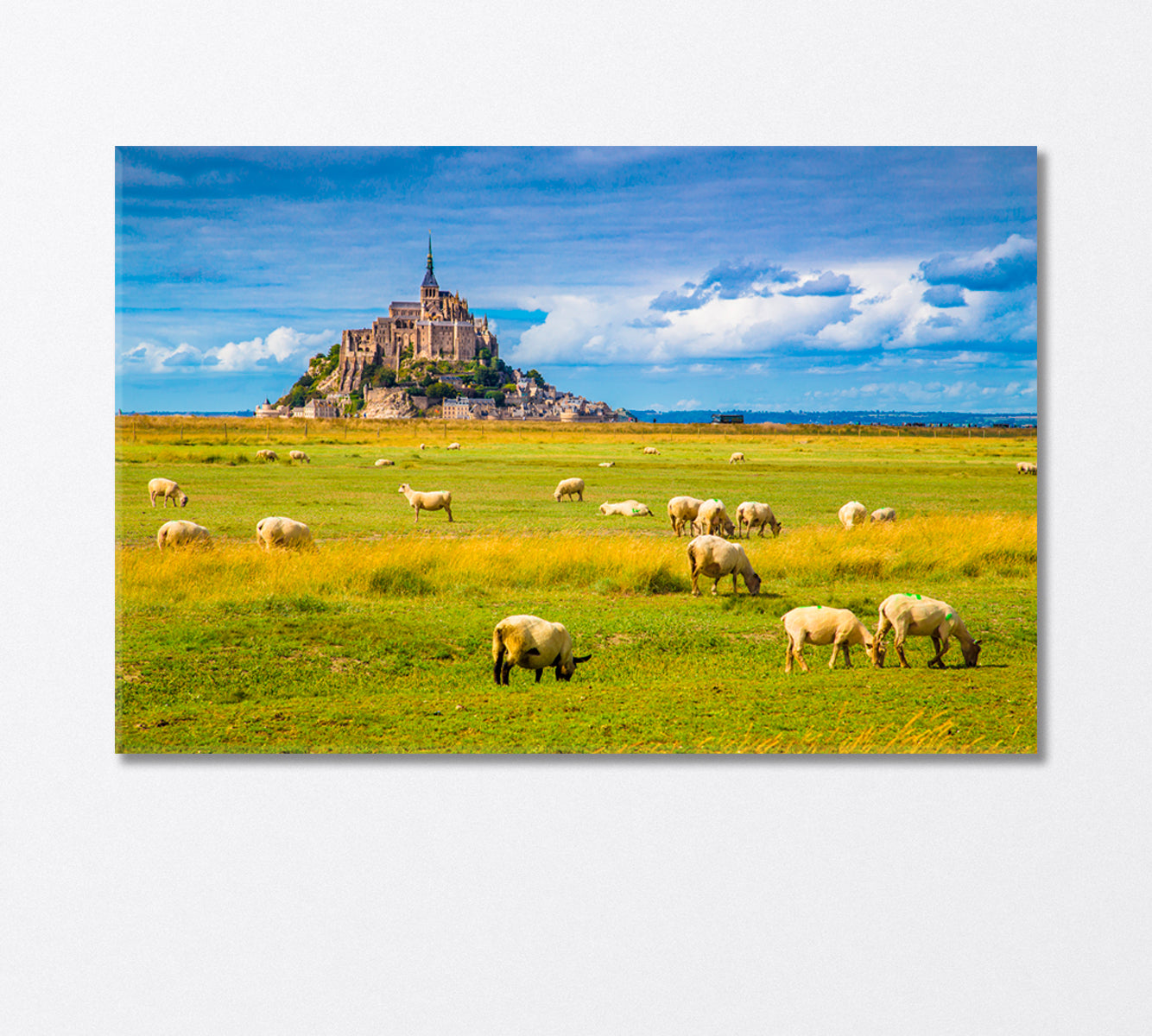 Sheep Grazing in the Fields of Fresh Green Grass Canvas Print-Canvas Print-CetArt-1 Panel-24x16 inches-CetArt