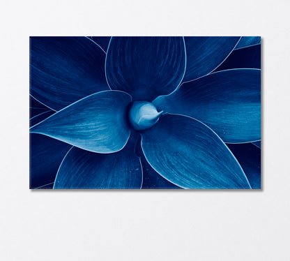 Blue Agave Canvas Print-Canvas Print-CetArt-1 Panel-24x16 inches-CetArt