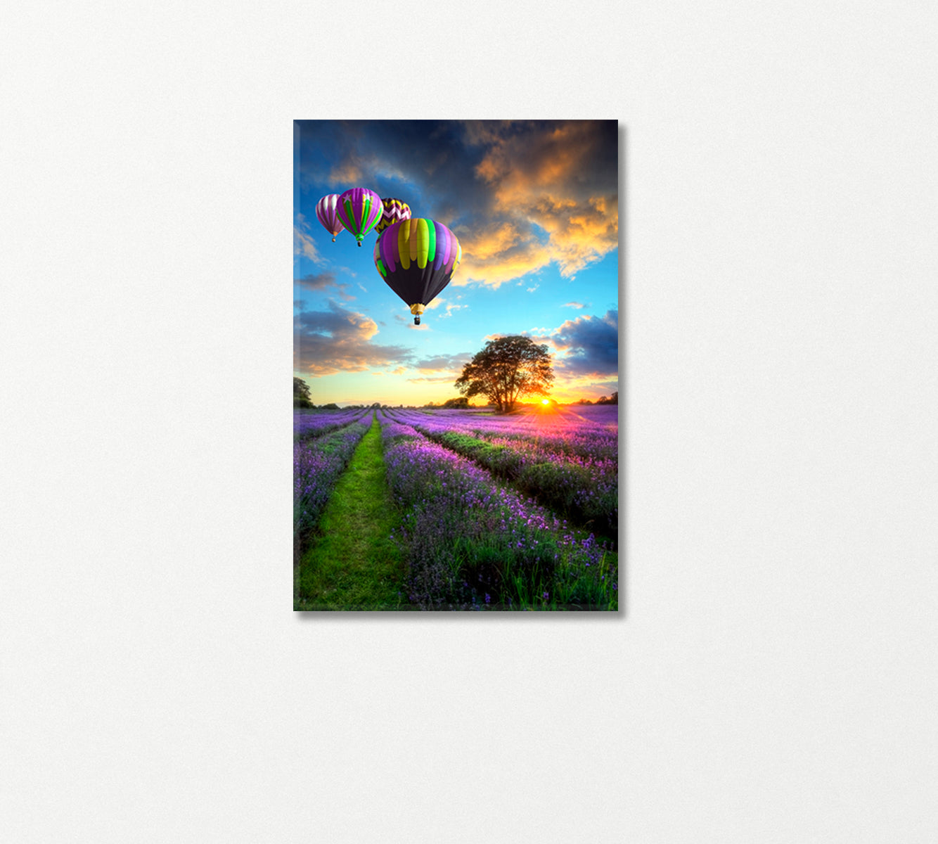 Balloons over Lavender Fields in Sunset Canvas Print-Canvas Print-CetArt-1 panel-16x24 inches-CetArt