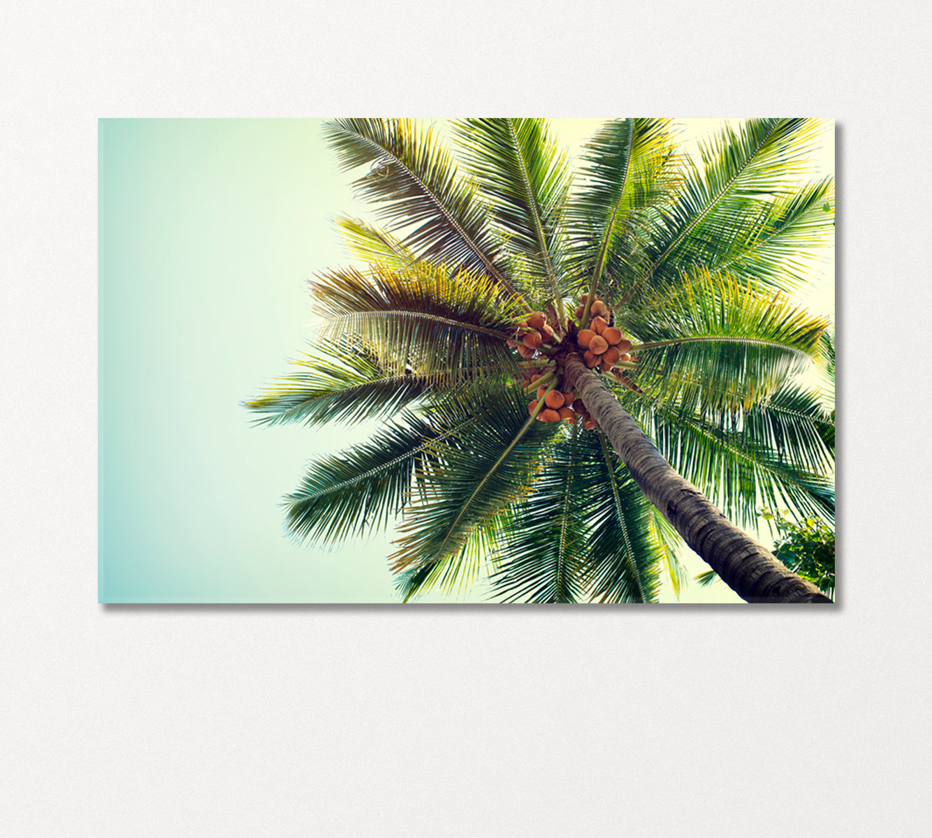 Coconut Palm Canvas Print-Canvas Print-CetArt-1 Panel-24x16 inches-CetArt