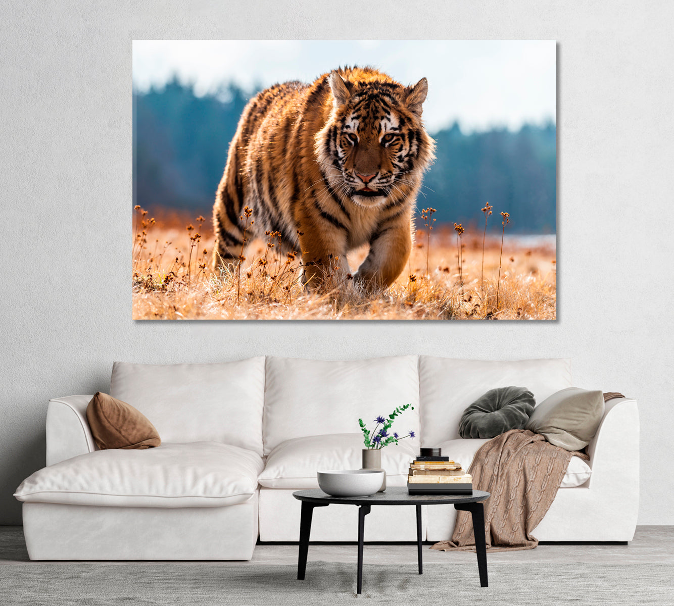 Siberian Tiger Canvas Print-Canvas Print-CetArt-1 Panel-24x16 inches-CetArt