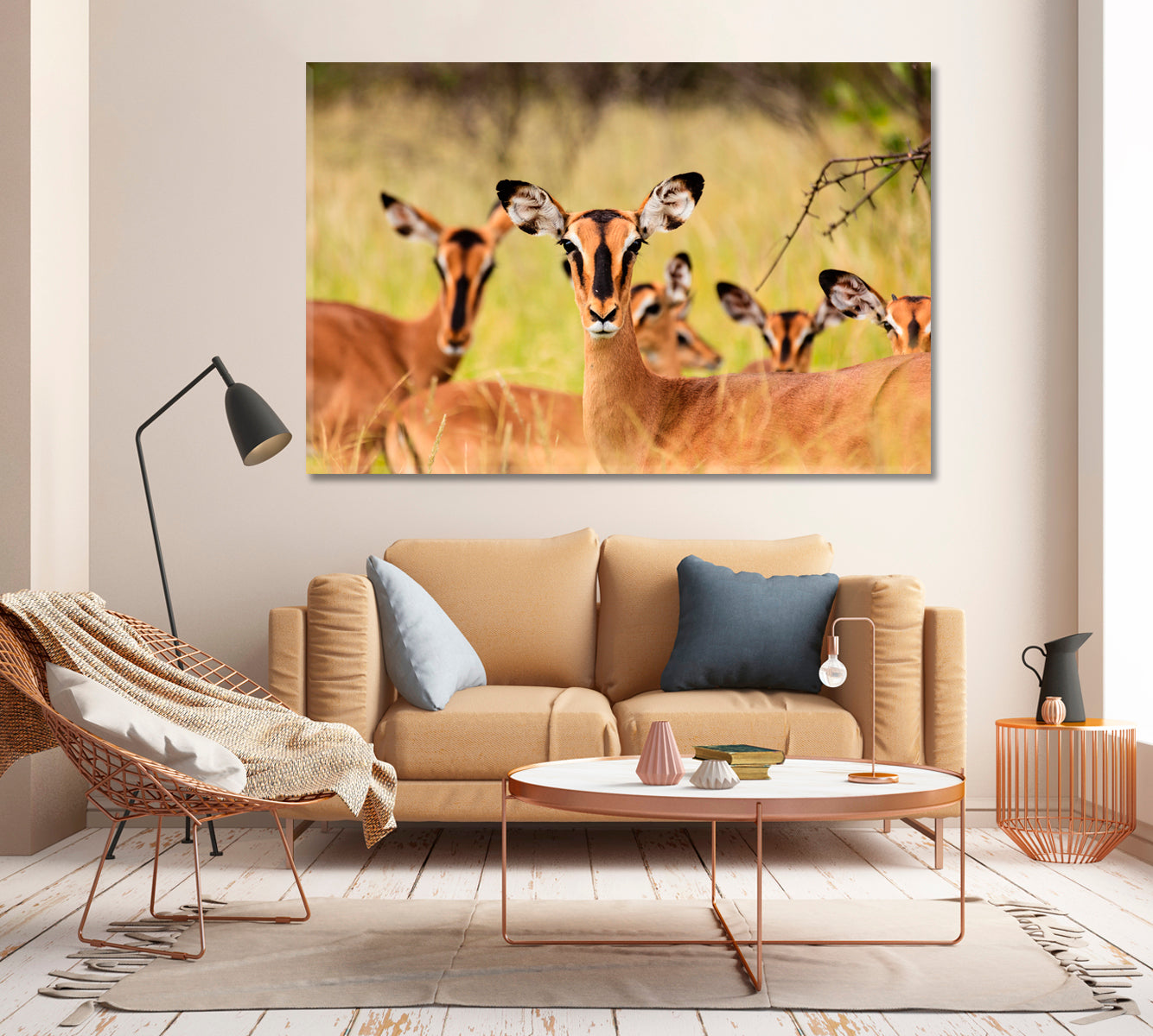 Young African Antelopes Canvas Print-Canvas Print-CetArt-1 Panel-24x16 inches-CetArt