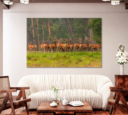 Group of Red Deers in Forest Canvas Print-Canvas Print-CetArt-1 Panel-24x16 inches-CetArt