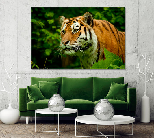 Tiger Face Wildlife Canvas Print-Canvas Print-CetArt-1 Panel-24x16 inches-CetArt