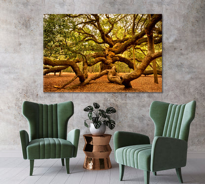 Angel Oak Tree Johns Island South Carolina USA Canvas Print-Canvas Print-CetArt-1 Panel-24x16 inches-CetArt