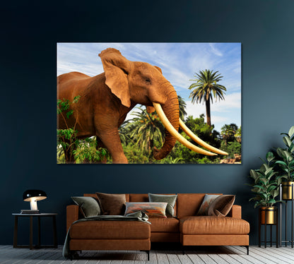 African Elephant Canvas Print-Canvas Print-CetArt-1 Panel-24x16 inches-CetArt