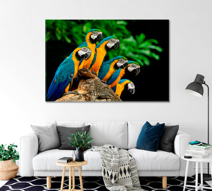 Blue and Yellow Parrots Canvas Print-Canvas Print-CetArt-1 Panel-24x16 inches-CetArt