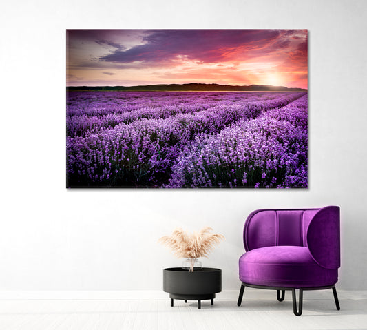 Lavender Field under the Summer Sunset Canvas Print-Canvas Print-CetArt-1 Panel-24x16 inches-CetArt