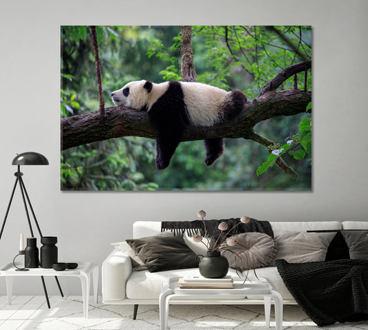 Cute Little Panda Sleeping on a Tree Canvas Print-Canvas Print-CetArt-1 Panel-24x16 inches-CetArt