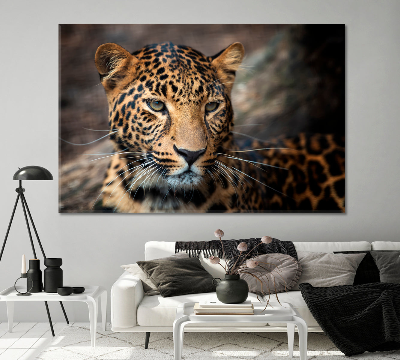 Young Leopard Canvas Print-Canvas Print-CetArt-1 Panel-24x16 inches-CetArt