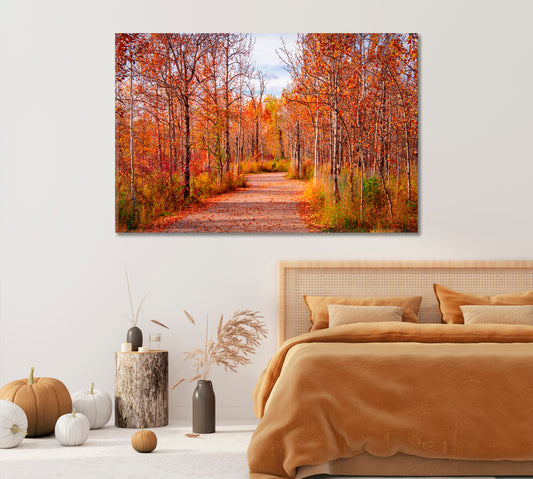 Beautiful Autumn Forest Alberta Canvas Print-Canvas Print-CetArt-1 Panel-24x16 inches-CetArt