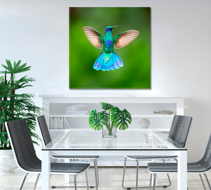 Sparkling Violetear Colibri Coruscans Canvas Print-Canvas Print-CetArt-1 panel-12x12 inches-CetArt