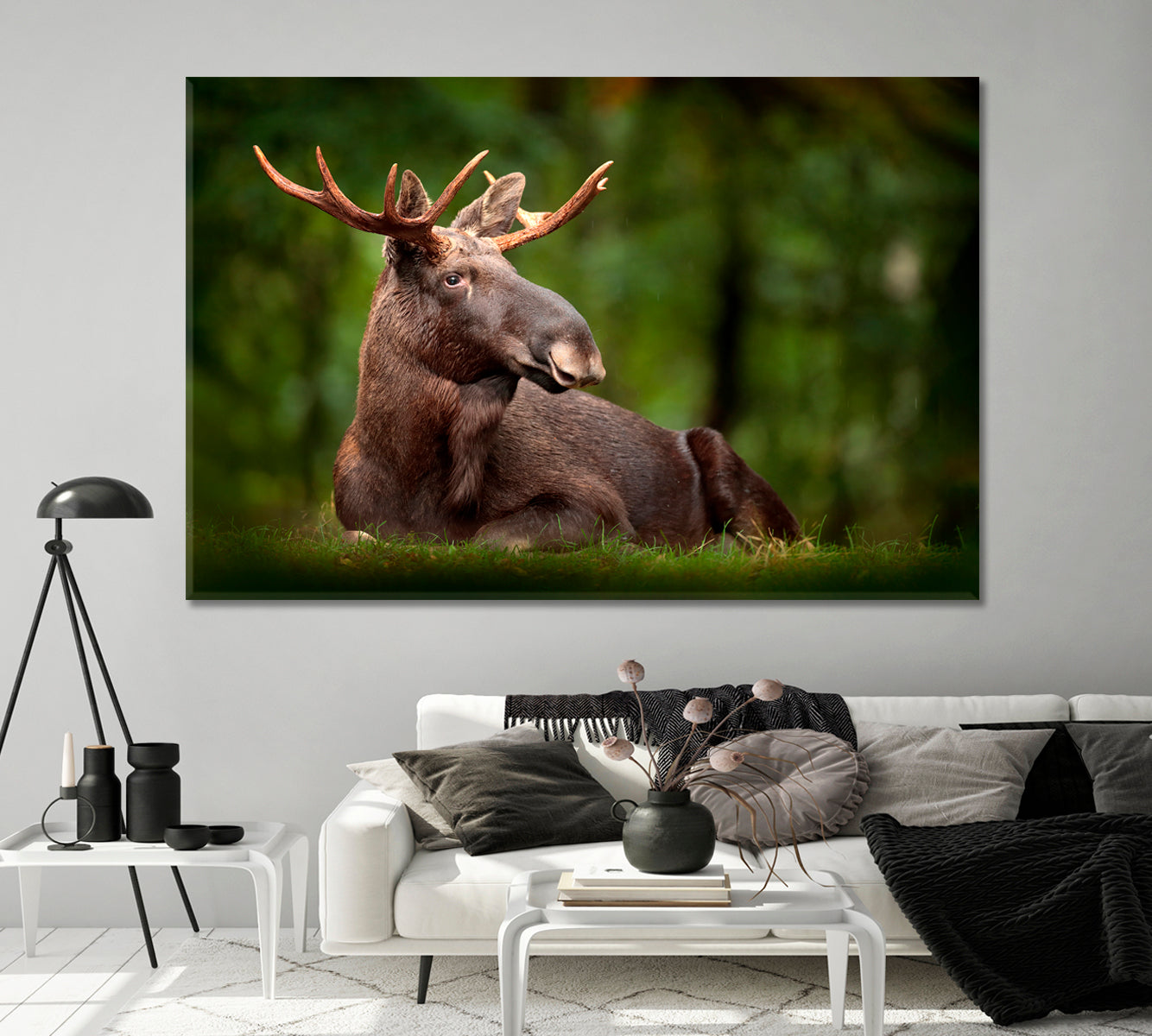 American Moose in Natural Habitat Canvas Print-Canvas Print-CetArt-1 Panel-24x16 inches-CetArt