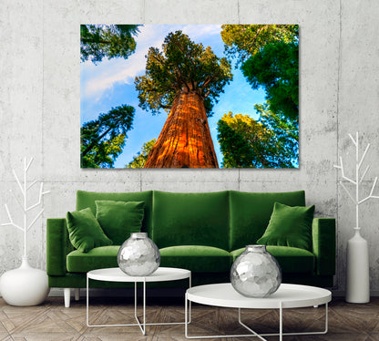 Sequoia National Park California United States Canvas Print-Canvas Print-CetArt-1 Panel-24x16 inches-CetArt