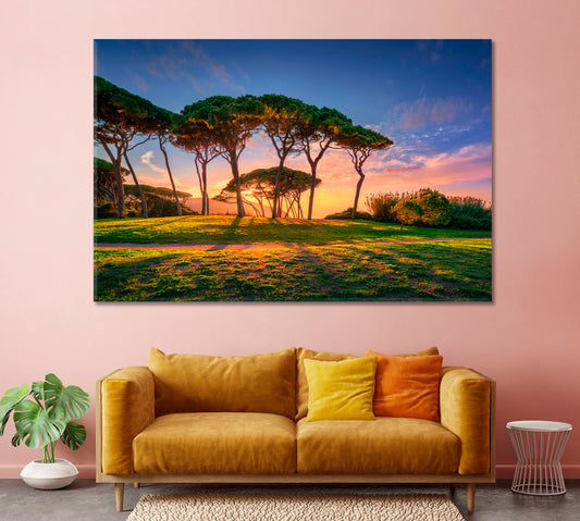 Seaside Pines at Sunset Canvas Print-Canvas Print-CetArt-1 Panel-24x16 inches-CetArt